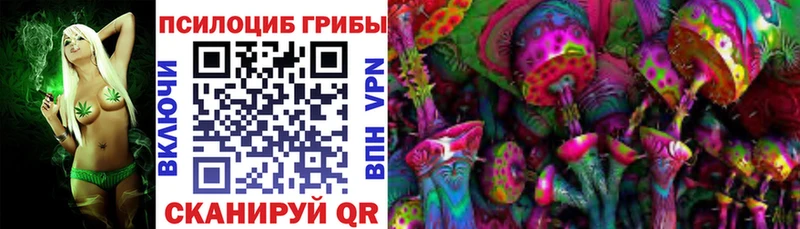 Псилоцибиновые грибы мицелий  Кувшиново 